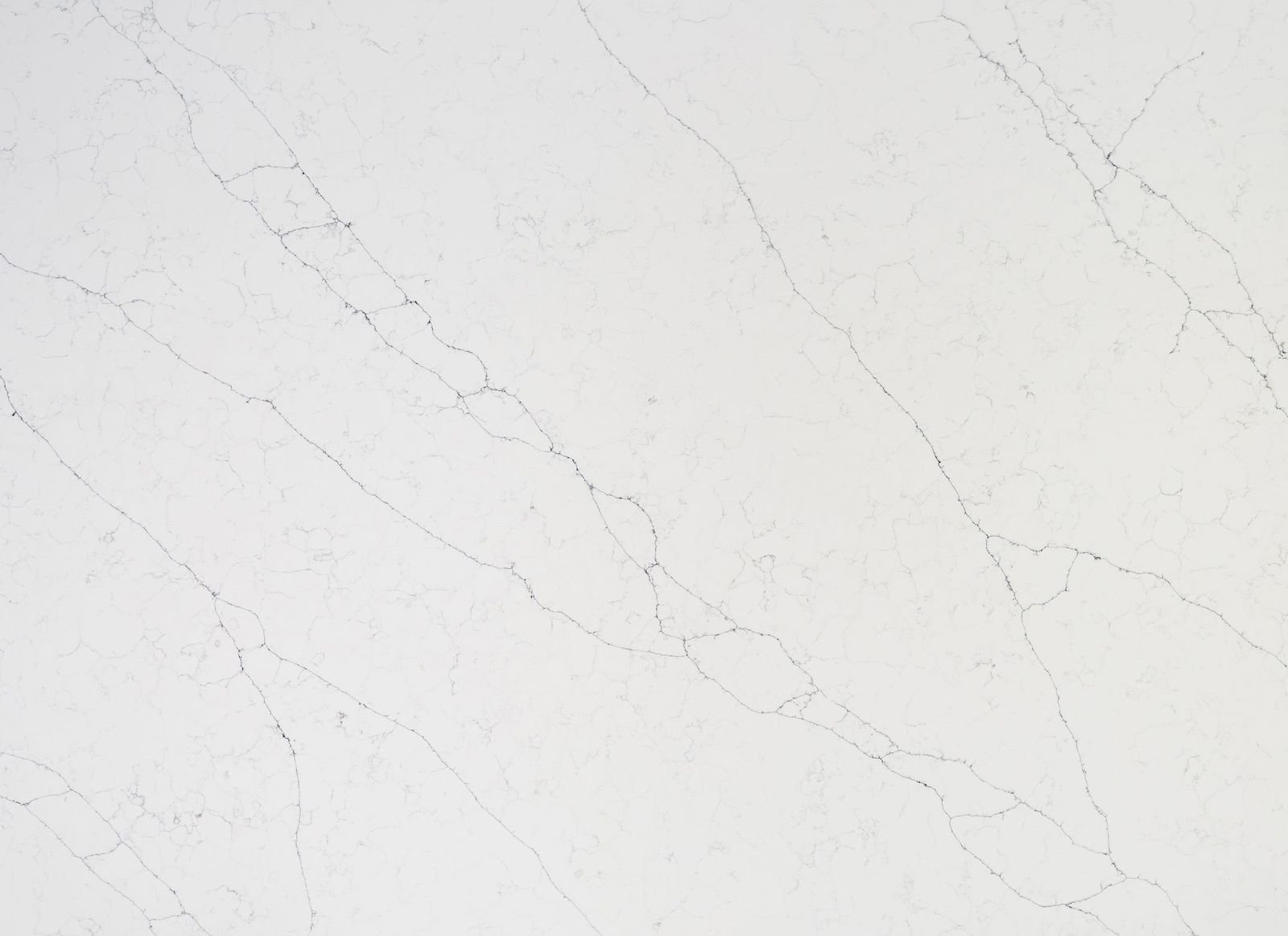 Arctic White